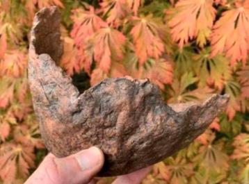 Bonsai Maanschaal handgemaakt ongeglazuurd 17,5x12,3x16,3 beschikbaar voor biedingen