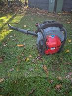 Robin FL 500 bladblazer, Ophalen, Benzine, Gebruikt, Ruggedragen