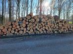 Brandhout,Eikenstammen,Stamhout,Loofhout,Boomstammen, Tuin en Terras, Haardhout, 6 m³ of meer, Ophalen of Verzenden, Eikenhout