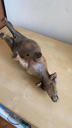 Houten sculptuur van een koe, Ophalen of Verzenden