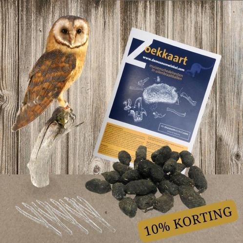 BIJ ONS TE KOOP!!! BRAAKBALLEN VAN EEN BOSUIL OF KERKUIL!!!!, Verzamelen, Dierenverzamelingen, Nieuw, Overige typen, Vogel, Ophalen of Verzenden