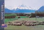 New Zealand Mount Cook, Verzamelen, Ansichtkaarten | Buitenland, Gelopen, 1960 tot 1980, Ophalen of Verzenden, Buiten Europa