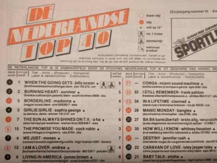 Veronica Top 40 1982-1989, Verzamelen, Muziek, Artiesten en Beroemdheden, Zo goed als nieuw, Boek, Tijdschrift of Artikel, Ophalen of Verzenden