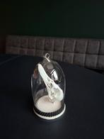 Eendenschedel in glazen stolpje., Ophalen of Verzenden, Zo goed als nieuw