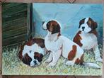 Schilderij: Sint Bernard honden, pups, Ophalen of Verzenden