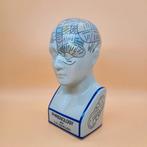 Phrenology hoofd van L.N. Fowler, Ophalen of Verzenden