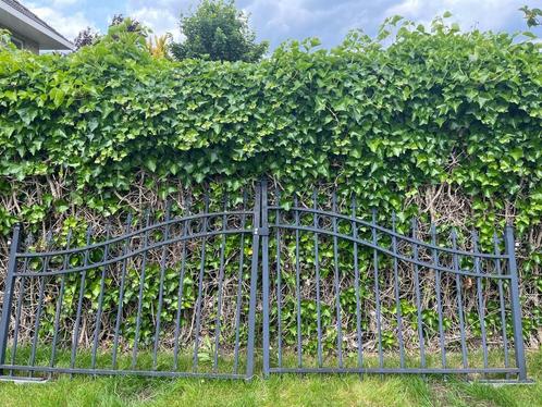 Smeedijzeren Hekwerk met Poort, Tuin en Terras, Tuinhekken en Hekwerk, Gebruikt, Sierhekwerk, IJzer, Met poort, Ophalen