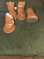 Chihuahua schoentjes bruin, Ophalen