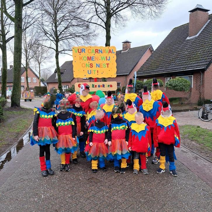 Loopgroep Carnaval, Kleding | Dames, Carnavalskleding en Feestkleding, Zo goed als nieuw, Carnaval, Ophalen