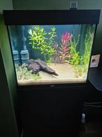 Juwel lido 120 liter + eheim pomp + accessoires, Dieren en Toebehoren, Ophalen of Verzenden