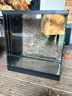 Terrarium 40-30-40 volglas met kurken achterwand, Dieren en Toebehoren, Reptielen en Amfibieën | Toebehoren, Ophalen, Zo goed als nieuw