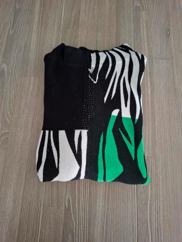 Nieuw Betty Barclay trui Groen & Zwart & Wit met glitters  beschikbaar voor biedingen