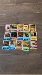 Jumbo samen cheffen, Hobby en Vrije tijd, Stickers en Plaatjes, Verzenden, Zo goed als nieuw, Meerdere plaatjes