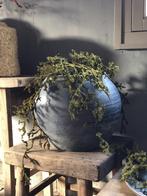 PRACHTIGE oude CHINESE KRUIK vaas waterpot met mos takken, Overige materialen, Overige kleuren, Nieuw, Ophalen of Verzenden