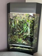 Compleet paludarium Rana, Dieren en Toebehoren, Ophalen, Zo goed als nieuw, Terrarium of Paludarium