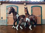 Schleich trakehner hengst,merrie&veulen, Ophalen of Verzenden, Zo goed als nieuw