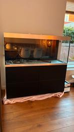 Oase Optiwhite 400, Dieren en Toebehoren, Vissen | Aquaria en Toebehoren, Ophalen, Zo goed als nieuw, Leeg aquarium