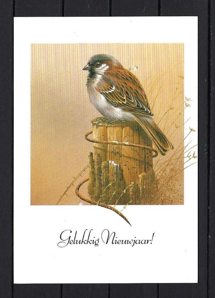 648 VOGELS, Gelukkig Nieuwjaar, Ophalen of Verzenden, Gelopen, Feest(dag)