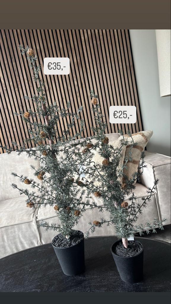 Mooie boom in pot, denneappels, kerst, kerstboom, nieuw, Tuin en Terras, Planten | Bomen, Overige soorten, Minder dan 100 cm, Volle zon