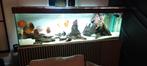 12x discus aquarium 200x60x60 met bioloog en toebehoren, Dieren en Toebehoren, Ophalen, Gevuld zoetwateraquarium