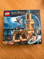 Lego Harry Potter 76401- Sirius’s Rescue, Ophalen, Gebruikt, Complete set, Lego