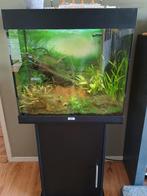 Juwel Lido 120, Ophalen, Gebruikt, Leeg aquarium