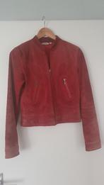 suede jas, Ophalen of Verzenden, Zo goed als nieuw, Steps, Maat 36 (S)