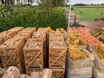 Berkenhout - Ovengedroogd - Pallet, Tuin en Terras, Haardhout, Minder dan 3 m³, Blokken, Berkenhout, Ophalen