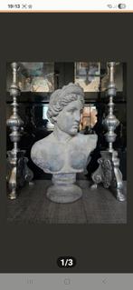 Mooie buste 70 bij 50 bij 30 cm, Ophalen of Verzenden, Nieuw, Dier