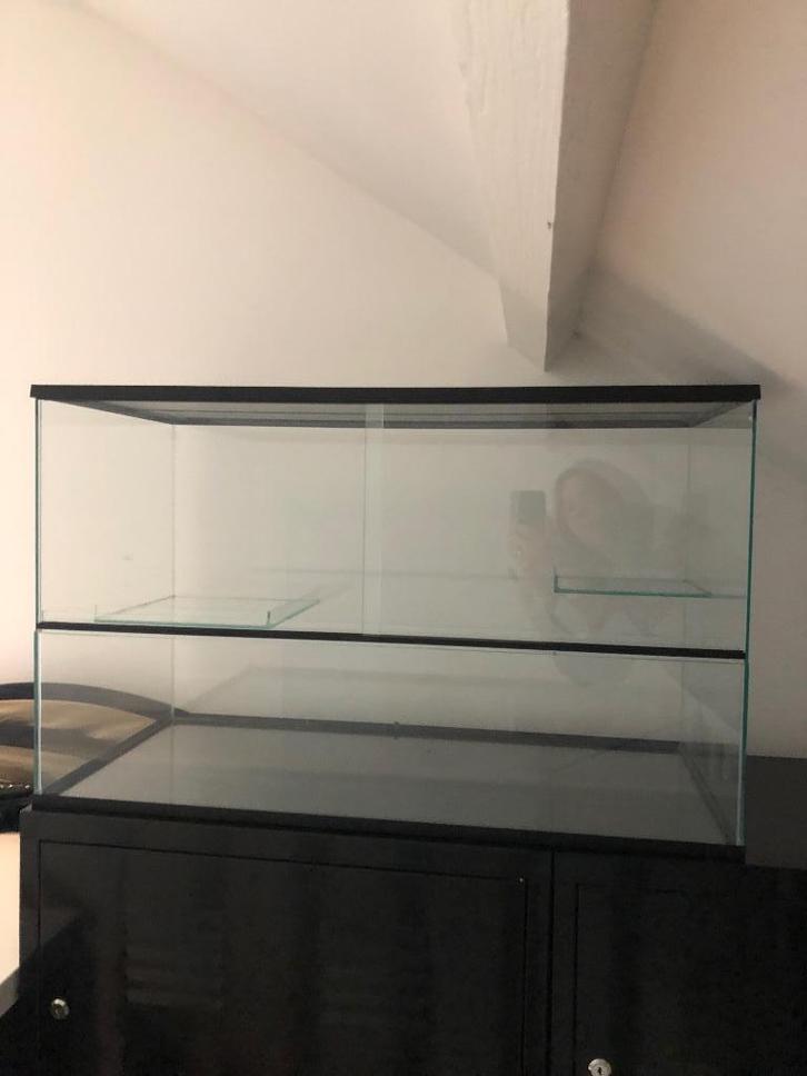 Hamster/ kleine knaagdier terrarium, Dieren en Toebehoren, Knaagdieren en Konijnen | Hokken en Kooien, Gebruikt, Hok, Minder dan 60 cm
