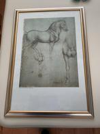 Foto lijst en davinci print, Antiek en Kunst, Ophalen of Verzenden