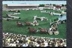Paardensport in Stadion Aachen-Laurensberger, 1968, stempel!, Verzamelen, Ansichtkaarten | Dieren, Verzenden, 1960 tot 1980, Gelopen
