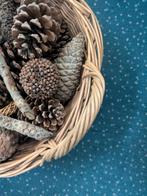 rieten mand, Ophalen, Gebruikt, Mand, Riet