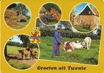 Ansichtkaart	Twente	5-luik	Boeren land, Verzenden, 1940 tot 1960, Overijssel
