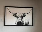 IKEA canvas schotee hooglander met lijst, Ophalen, Zo goed als nieuw, 100 tot 125 cm, Foto of Poster