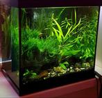 Superfish Start 30 LED Aquarium met BOB sponsfilter, Dieren en Toebehoren, Vissen | Aquaria en Toebehoren, Ophalen, Gebruikt, Leeg aquarium