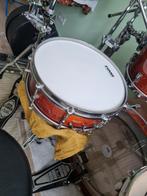 Noble Cooley snare CD Maple in nieuwstaat 14x5, Ophalen of Verzenden, Zo goed als nieuw, Overige merken