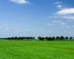 stuk weiland te koop gevraagd, Dieren en Toebehoren, Weidegang