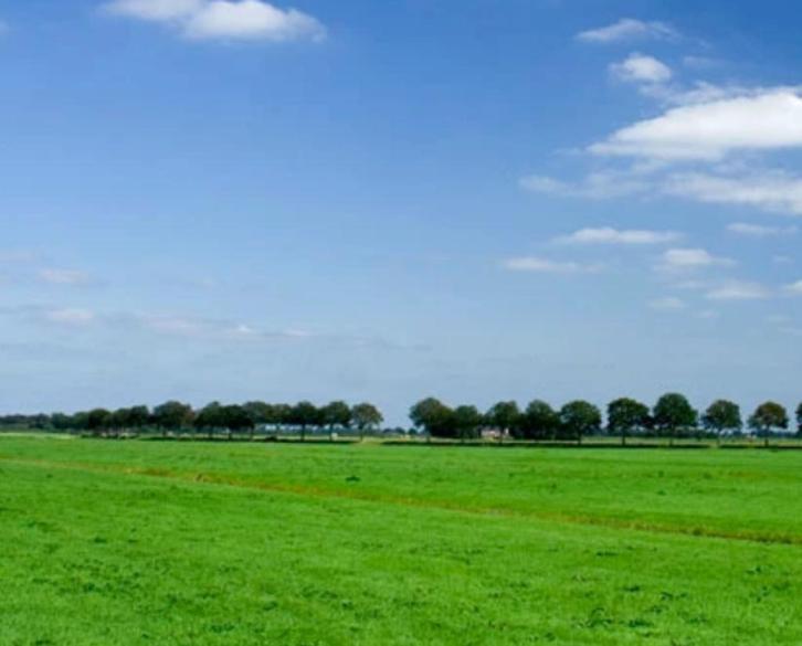stuk weiland te koop gevraagd, Dieren en Toebehoren, Stalling en Weidegang, Weidegang