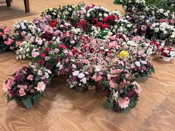 zijdebloemen en planten beschikbaar voor biedingen