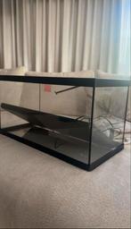 60 liter aquarium, Dieren en Toebehoren, Dierenvoeding, Ophalen, Vis