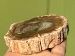 Versteend hout schijf plak dubbel gepolijst mineralen, Ophalen of Verzenden, Mineraal