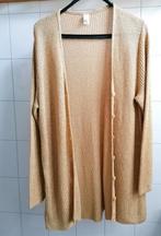 Dames vest goudkleurig maat 46 €10,00, Kleding | Dames, Truien en Vesten, Ophalen of Verzenden, Gedragen, Maat 46/48 (XL) of groter