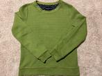 Cavallaro Napoli Trui - Maat S, Ophalen of Verzenden, Zo goed als nieuw, Groen
