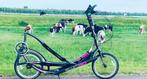 Elliptigo 11R, Overige merken, 28 inch, Gebruikt, 10 tot 15 versnellingen
