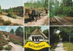 HELLENDOORN Heidegezichten Bosbouw Fietspad, Verzamelen, Ansichtkaarten | Nederland, Verzenden, 1960 tot 1980, Gelopen, Overijssel