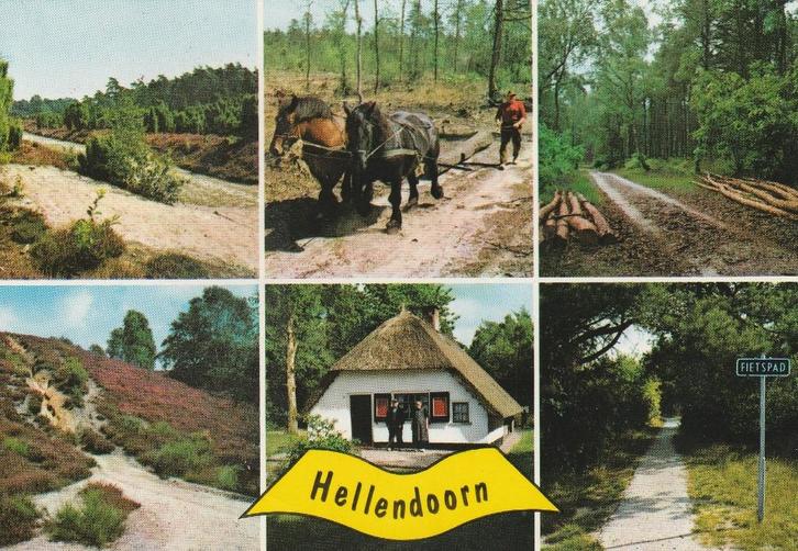 HELLENDOORN Heidegezichten Bosbouw Fietspad, Verzamelen, Ansichtkaarten | Nederland, Gelopen, Overijssel, 1960 tot 1980, Verzenden