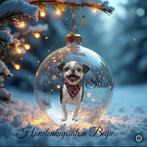 Sissi Boomer teefje, 6 jaar of ouder, Parvo, Maltezer, Teef