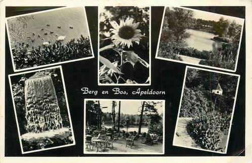 (380-173-031) Apeldoorn Berg en Bos, Verzamelen, Ansichtkaarten | Nederland, Gelderland, Verzenden