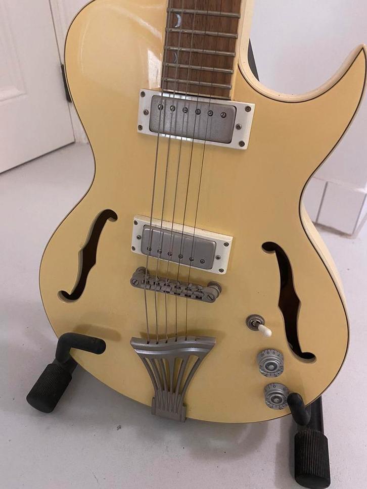 Luna semi hollow gitaar, Muziek en Instrumenten, Snaarinstrumenten | Gitaren | Elektrisch, Zo goed als nieuw, Hollow body, Overige merken